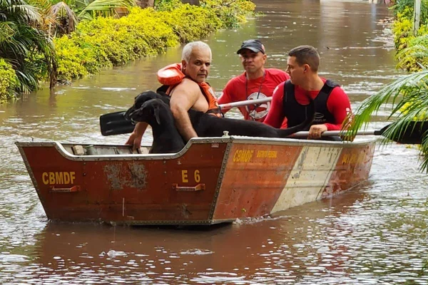 Celina vai decretar estado de alerta no DF após temporais. Entenda