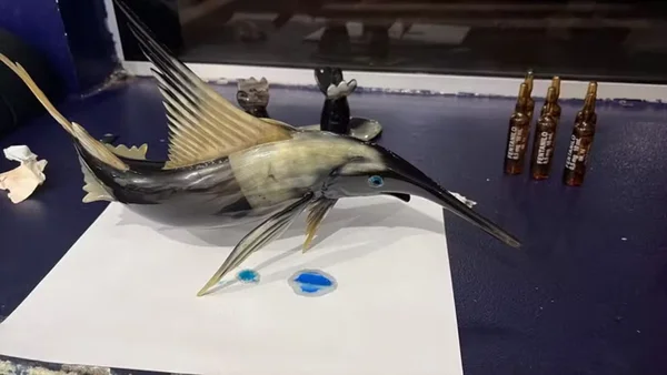 escultora de peixe com drogas