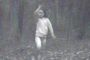 Suposto espírito aparece em foto no meio do bosque e assusta moradores