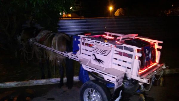 Carroceiros ganham mais prazo para circular no DF