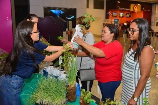 Aparecida (GO) faz doação de mudas do Cerrado para população