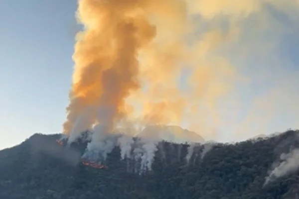 A Defesa Civil acompanha a atuação das equipes nos 13 municípios. A Sala SP Sem Fogo segue monitorando os focos dos incêndios florestais - Metrópoles