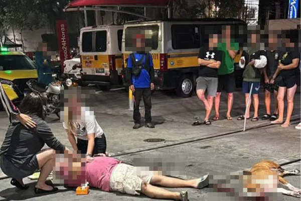 Pitbull ataca tutor e é morto por PM de folga no Rio