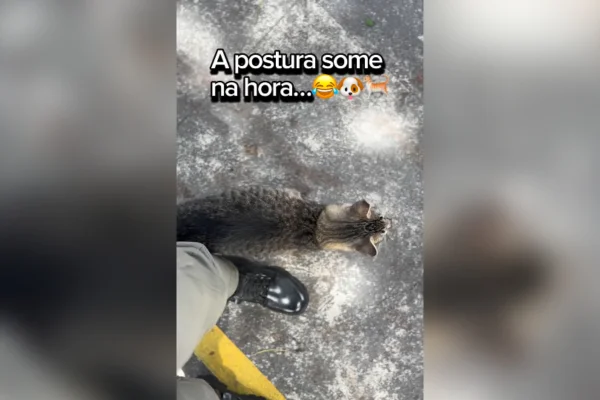 Policial militar brinca ao mostrar “fraqueza” durante patrulha