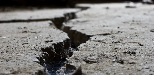 Terremoto atinge oeste do Brasil perto da fronteira com Peru, diz USGS