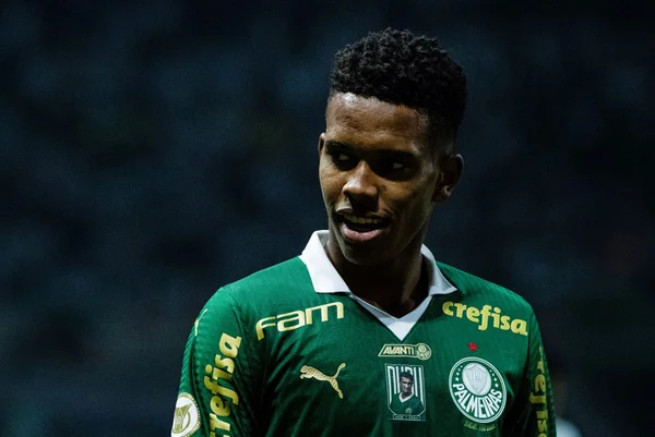 Estevão do Palmeiras. Futuro companheiro de Neymar na Seleção?