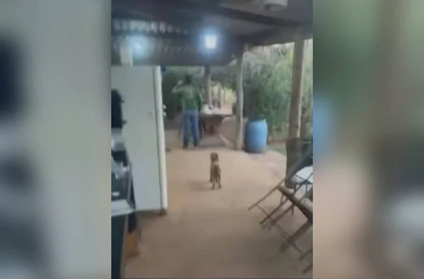 imagem colorida tiroteio família briga herança goias tiros