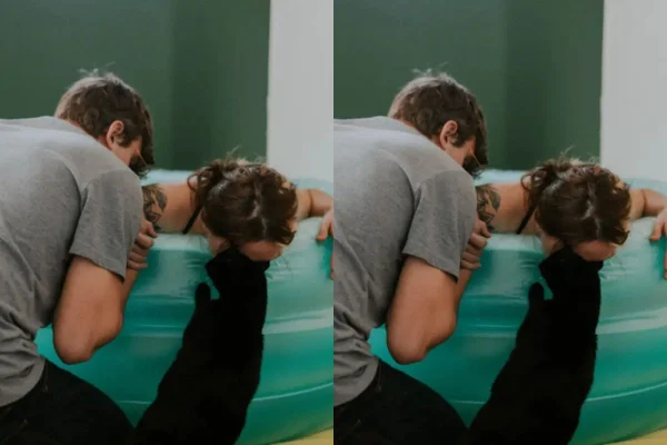 gato ao lado de tutora durante parto