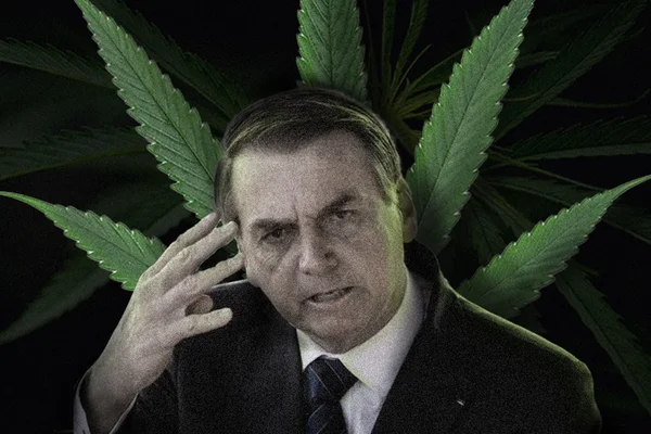 Bolsonaro é o político mais associado à maconha pela mídia
