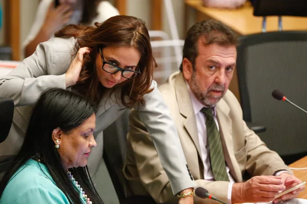 Liliane Roriz volta à Câmara pela primeira vez desde a Drácon