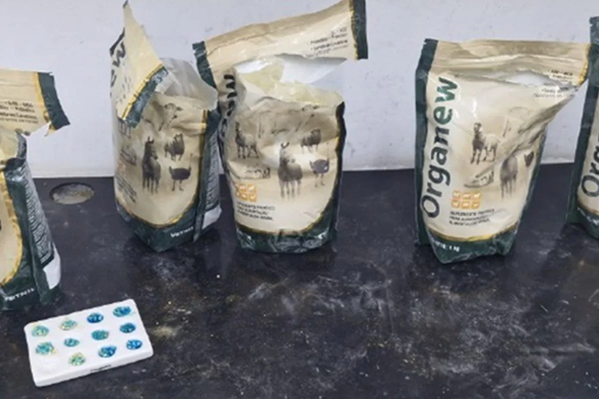 "Pré-treino proibidão": PF intercepta cocaína escondida em potes de whey