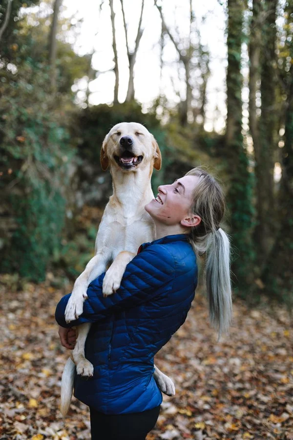 Cachorro feliz