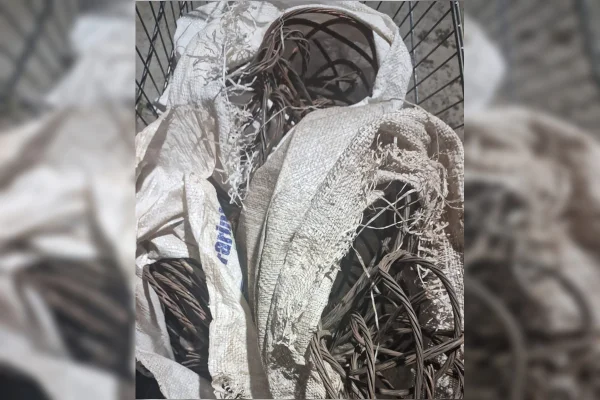 Polícia estoura ponto de crack e recolhe 10 kg de cabos na Asa Norte