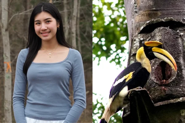 Estudante recebe prêmio por transformar plástico em ninhos para aves