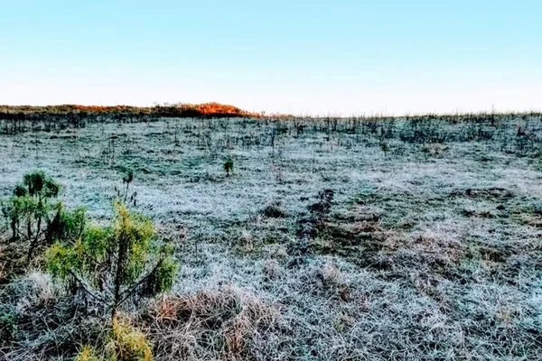 Frio-traz-geada-e-temperaturas-abaixo-de-zero-no-RS