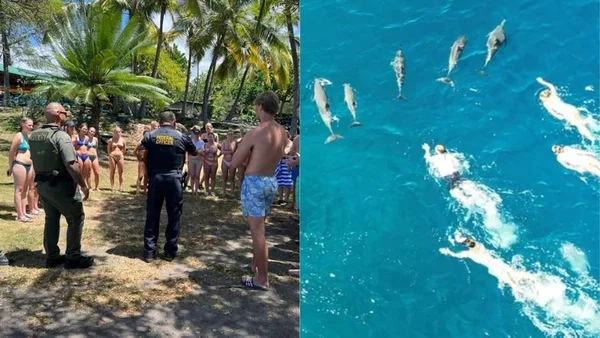 Montagem: grupo de pessoas detido no Havaí (a esquerda) e a perseguição contra golfinhos (a direita) - Metrópoles