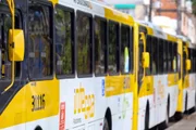 TRE-BA determinou restabelecimento de frota de ônibus