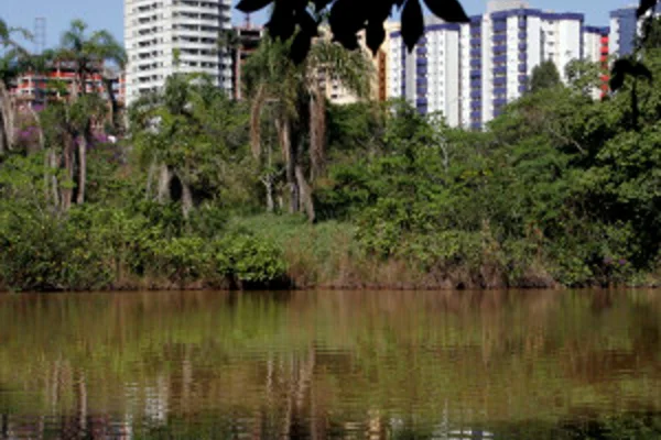 Para manutenção, Parque Ecológico de Águas Claras fecha nesta terça