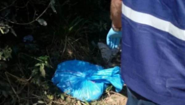 Vítimas esquartejadas no RS são duas crianças, afirma polícia