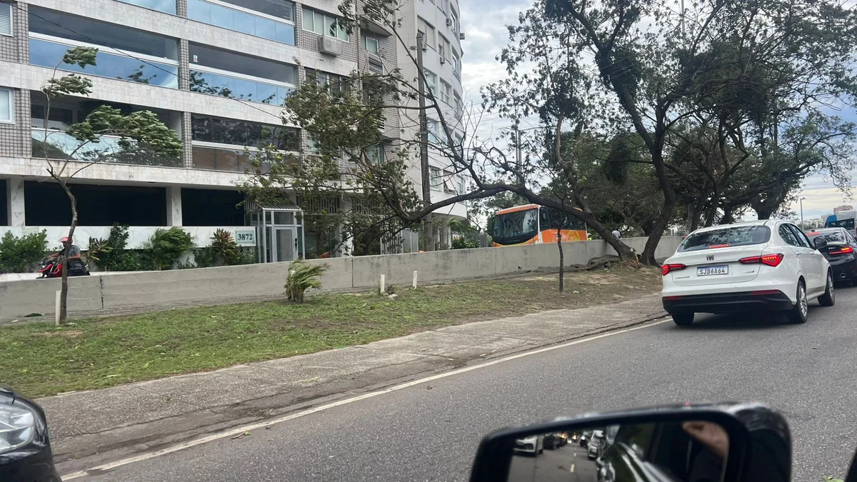 Ventania assusta moradores e derruba árvores no Rio 1 Árvore caída em uma via - Metrópoles