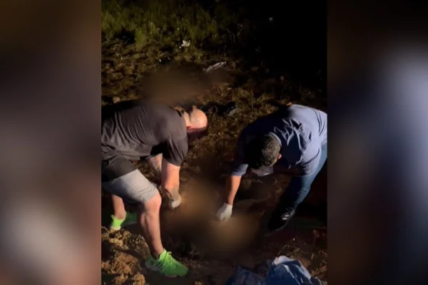 Cenas fortes: mais de 40 cachorros mortos são jogados em terreno em RR