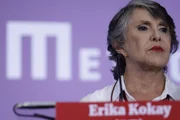 Erika critica parentes como suplentes: “Orçamento público não é doméstico” - imagem 6 Erika critica parentes como suplentes: “Orçamento público não é doméstico” - imagem 6