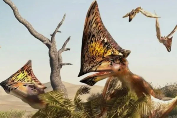 Pterrossauro