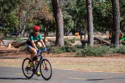 Ideia é fazer uma área de proteção ao ciclista no Parque, o maior da América Latina