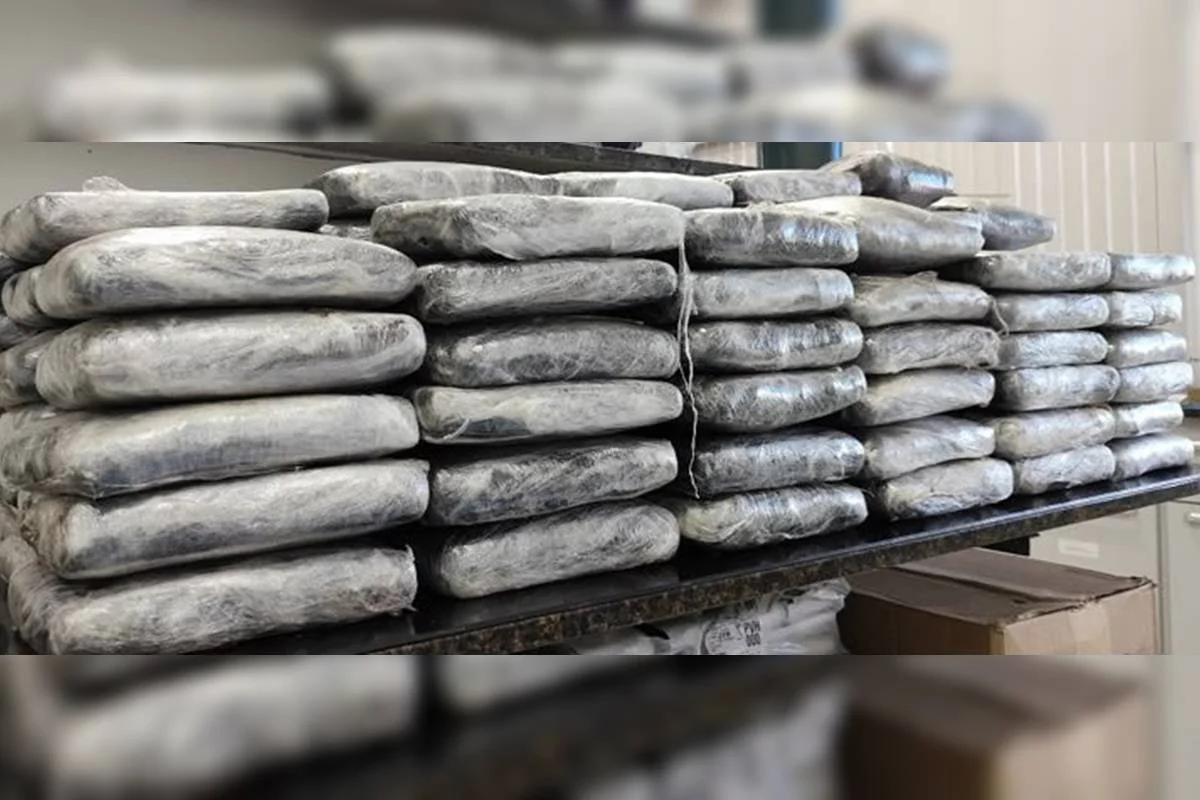 Mais de 60 quilos de maconha foram encontrados durante a operação Mais de 60 quilos de maconha foram encontrados durante a operação