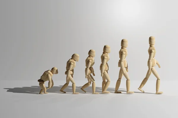 Ecofeminismo, a evolução do pensamento feminista