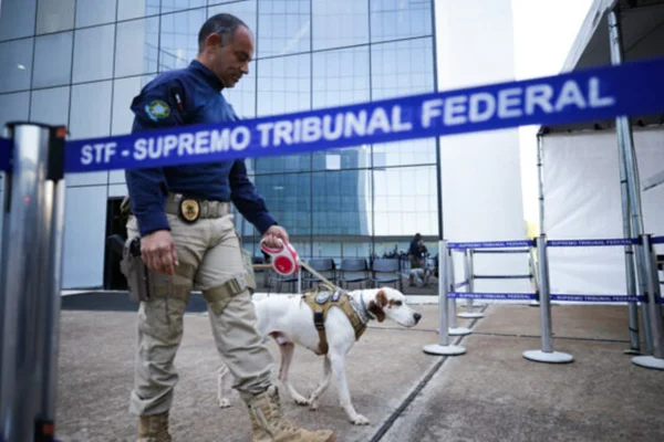 STF: cães farejadores fazem varredura antes do julgamento de Bolsonaro