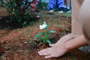 A Regional de Ensino e a Escola Classe 03 do Núcleo Bandeirante decretaram um dia de luto em homenagem à menina Valentina Nobre Lima, de 11 anos A Regional de Ensino e a Escola Classe 03 do Núcleo Bandeirante decretaram um dia de luto em homenagem à menina Valentina Nobre Lima, de 11 anos