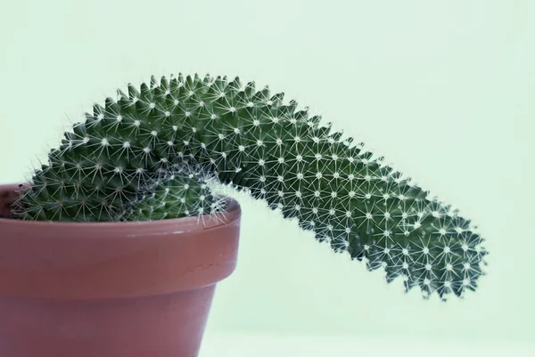 Deu ruim! 7 transas que saíram dos planos e renderam boas risadas