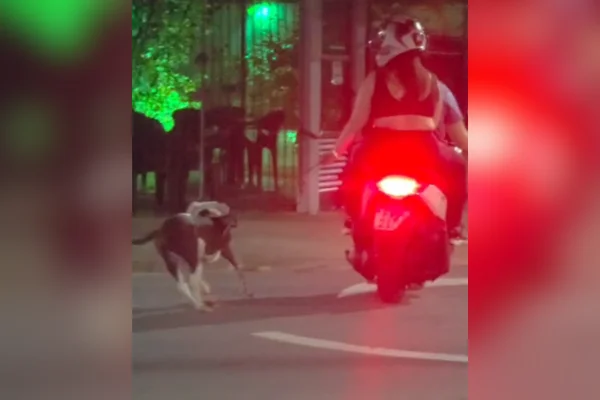 Imagem colorida de casal em moto arrastando cachorro pela coleira. Metrópoles