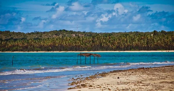 Produtora brasiliense lança projeto aMar Boipeba, na Bahia