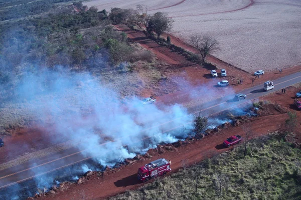 Nove municípios do interior de SP estão com focos ativos de incêndio