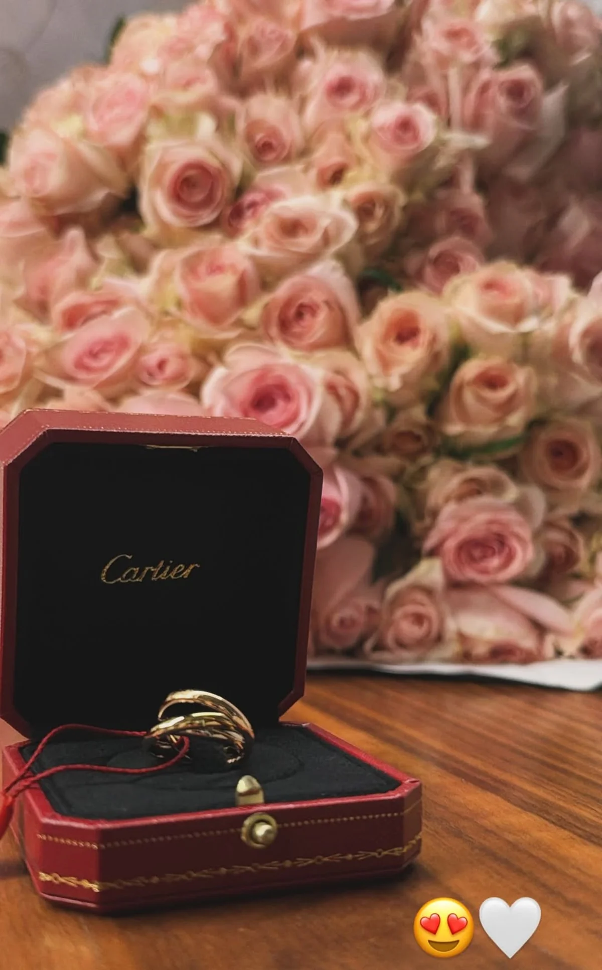 Após término com Vini Jr., Virginia Fonseca ganha joia e flores de presente Após término com Vini Jr., Virginia Fonseca ganha joia e flores de presente