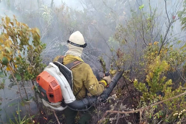 brigadistas voluntários se arriscam e viram noites combatendo o fogo na chapada dos veadeiros