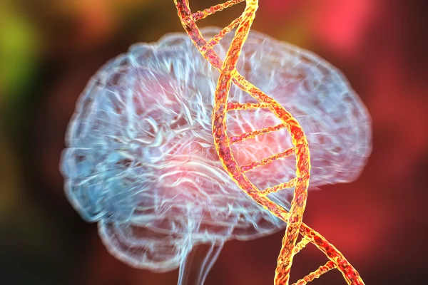 Doenças genéticas do cérebro, ilustração conceitual por computador. Mutações no DNA que levam a doenças cerebrais. Neurogenética, doenças neurodegenerativas. Metrópoles