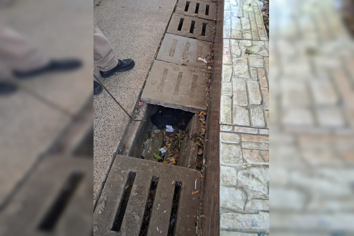 Calhas estavam sujas e entupidas no CED 4 do Guará, onde menino sofreu picada de escorpião Calhas estavam sujas e entupidas no CED 4 do Guará, onde menino sofreu picada de escorpião