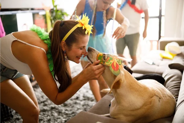 Carnaval com o pet