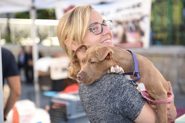 Saúde pet: veja a melhor maneira de tratar a gripe canina