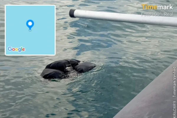 colete salva vidas encontrado desaparecido ilhabela