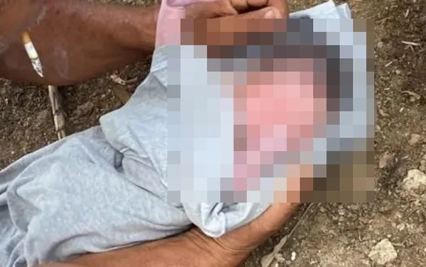 Bebê encontrada abandonada em Pernambuco