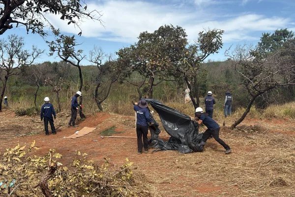 Árvores derrubadas e barracos erguidos: invasão ameaça área da Flona - destaque galeria