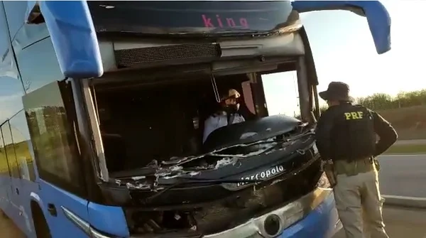 goias motorista de onibus capacete