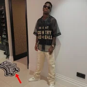 Vini Jr. posa em casa e o tapete aparece