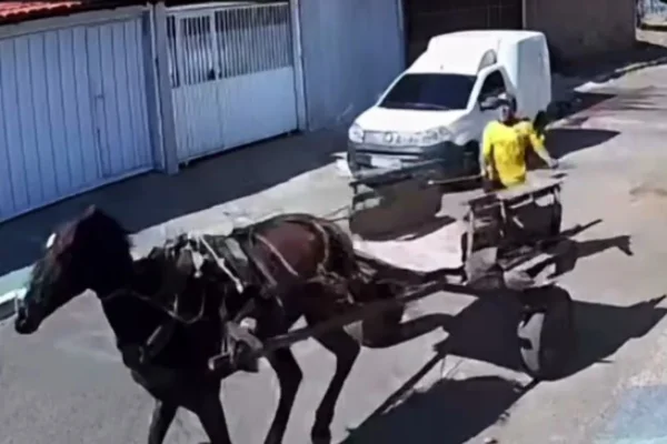 Cavalo desgovernado arrasta carroceiro e apavora moradores em rua do DF