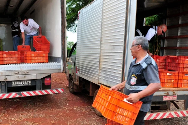 Secretaria de Agricultura faz fiscalização para evitar a chegada de alimentos clandestinos ao DF